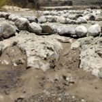 Increíble sitio en Puebla donde vivieron los dinosaurios 