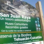 Increíble sitio en Puebla donde vivieron los dinosaurios 