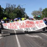 CNTE y frentes socialistas desquician Morelia