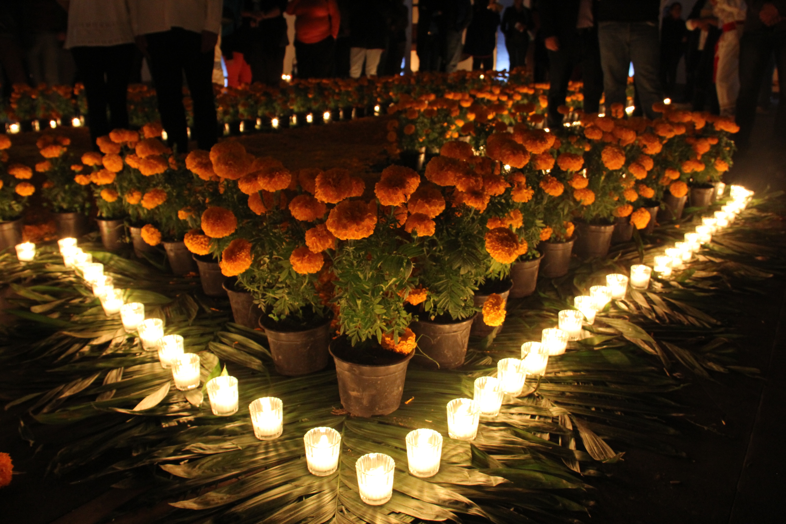 Cempasúchil, velas, fotografías... Michoacán se alista para el Día de  Muertos ¿Cuál fue el origen de la celebración?