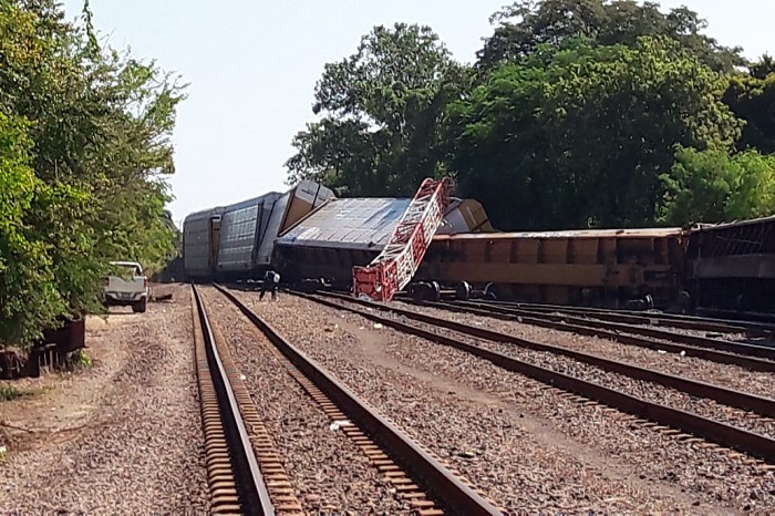 tren descarrila en Guacamayas