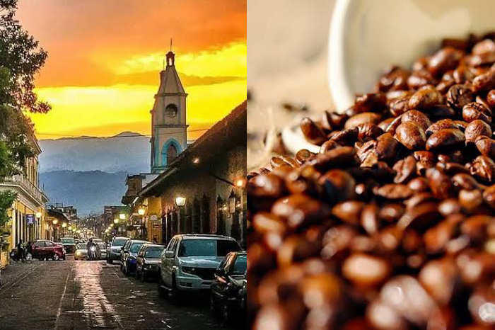 Deja que te enamore la ruta aromática del café en Coatepec y Córdoba