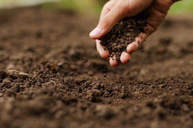 Apoya la Sader la producción sustentable con Agrosano en 32 mil hectáreas