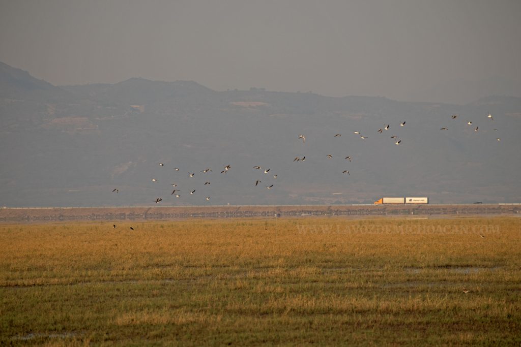 LAS FUNCIONES ECOLÓGICAS BROTAN DE NUEVO