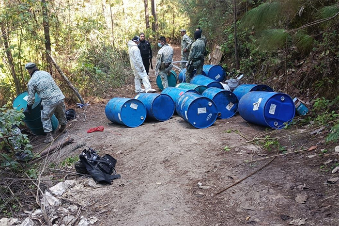 Fuerzas de seguridad destruyen laboratorio clandestino en zona serrana de Madero