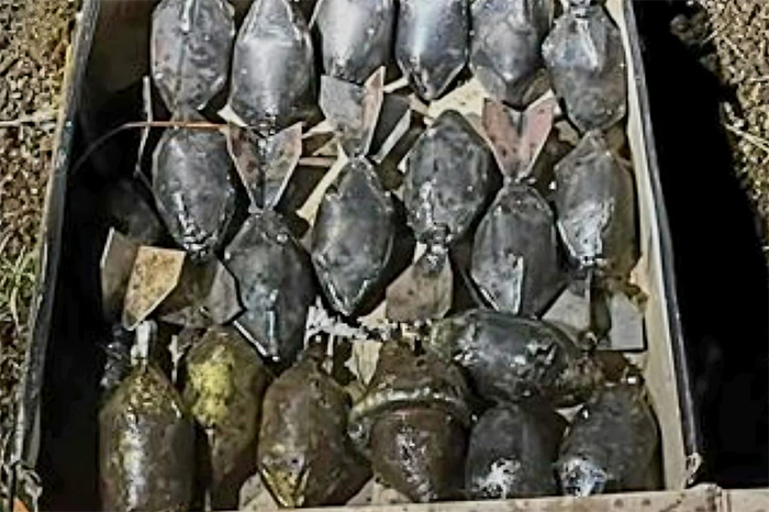 Artefactos explosivos improvisados asegurados en Buenavista Michoacán