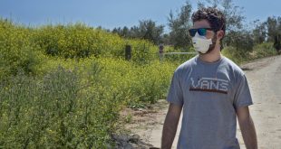 Ilustración médica de células fibroblastos en los pulmones bloqueando una reacción alérgica.