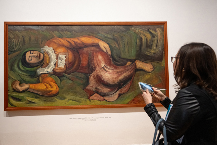 Una mujer observa y captura con su celular la obra "Mujer dormida" de Remedios Varo en el Museo MARCO.