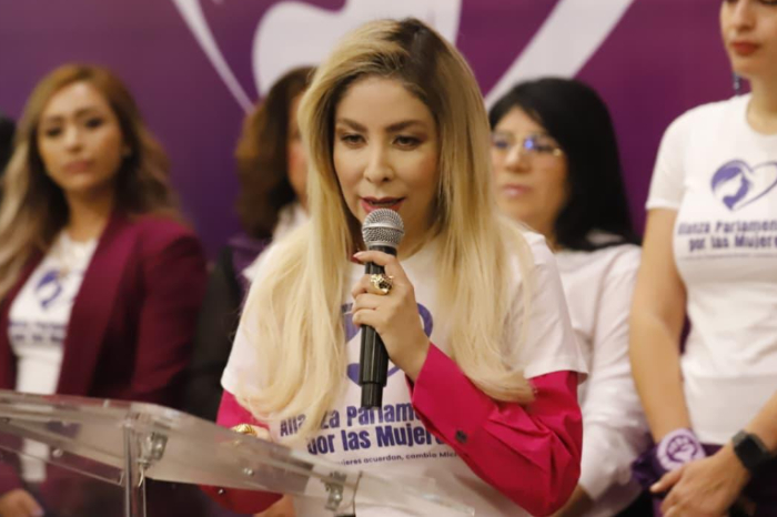 Diputadas de la 76 Legislatura de Michoacán en rueda de prensa anunciando la Alianza Parlamentaria por las Mujeres.