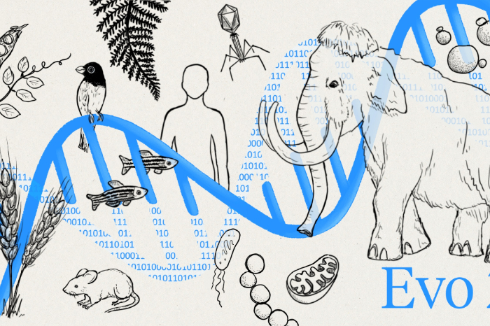 Representación digital de una cadena de ADN procesada por algoritmos de inteligencia artificial Evo 2.
