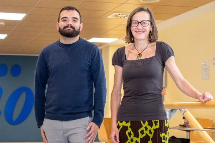 Representación de células de microglía en el hipotálamo relacionadas con la fertilidad humana.