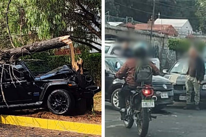 Camioneta Jeep negra que derribó un árbol tras subirse al camellón en la zona de Altozano, Morelia.