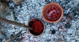 Fragmentos de cerámica prehistórica analizados para encontrar restos de comida y plantas.