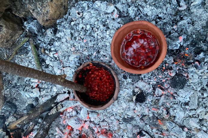 Fragmentos de cerámica prehistórica analizados para encontrar restos de comida y plantas.