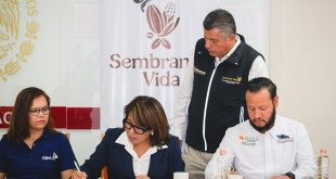 Firma de convenios entre Sembrando Vida, ICATMI, CIDAM y la UIIM en Morelia, Michoacán.