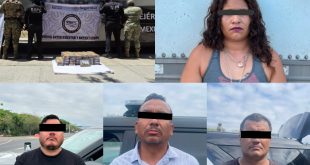 El aseguramiento se logró gracias al apoyo de un ejemplar canino que detectó la droga en las paredes del vehículo.