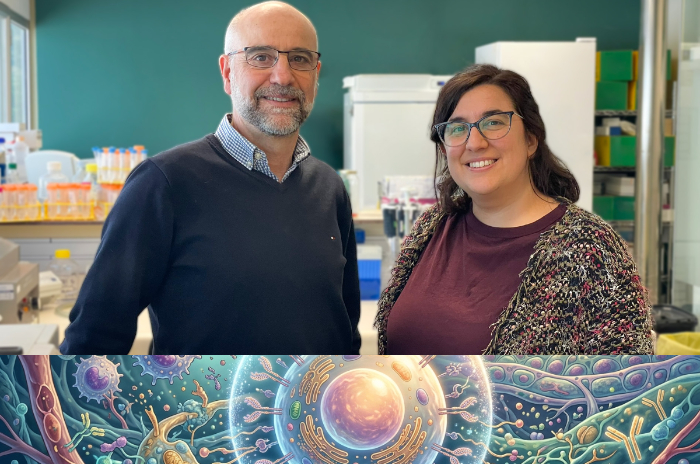 Representación microscópica de células madre y linfocitos T atacando el virus del VIH.