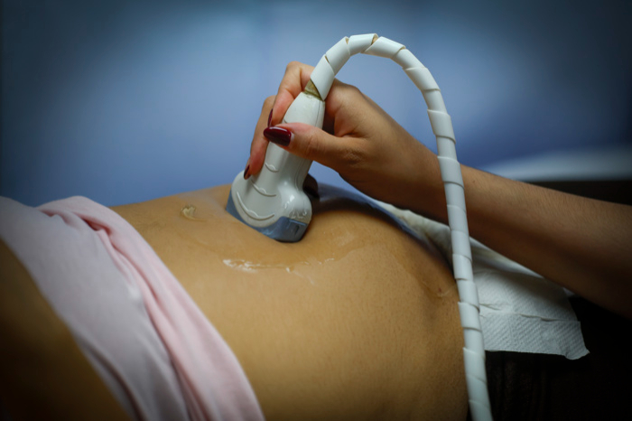 Representación microscópica de células de la placenta humana y modelos de organoides tridimensionales.