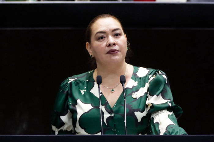 La diputada Mónica Sandoval