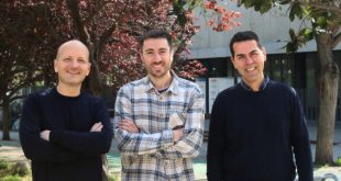 Representación microscópica de células alargadas autoorganizándose en una estructura tridimensional programada.