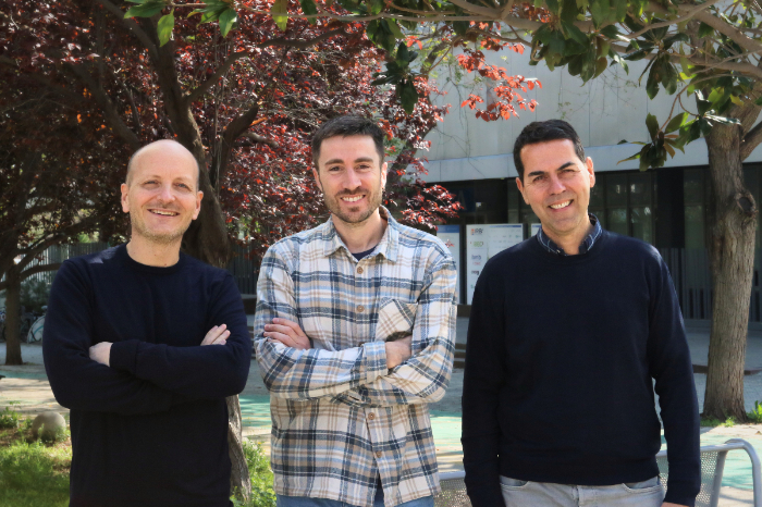 Representación microscópica de células alargadas autoorganizándose en una estructura tridimensional programada.