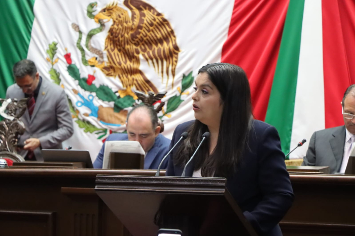 Diputada Teresita Herrera Maldonado presenta iniciativa de inclusión para niños con epilepsia en el Congreso de Michoacán.