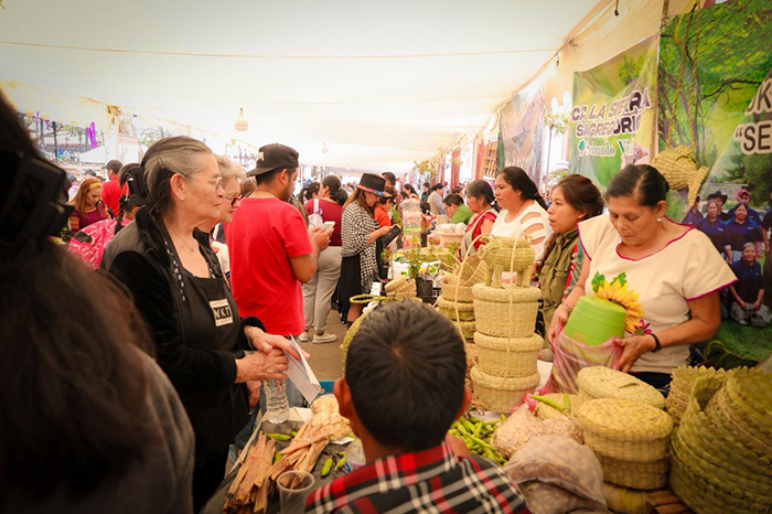 Sembradores michoacanos trabajando en parcelas con sistemas de Milpa Intercalada con Árboles Frutales (MIAF).