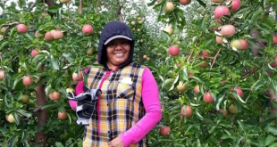 La activista fue trasladada a un centro de detención en Ohio tras asistir a su cita de control con las autoridades migratorias.