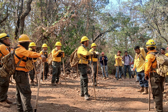 Brigadistas forestales de la Cofom trabajando en el control de un incendio en Michoacán.