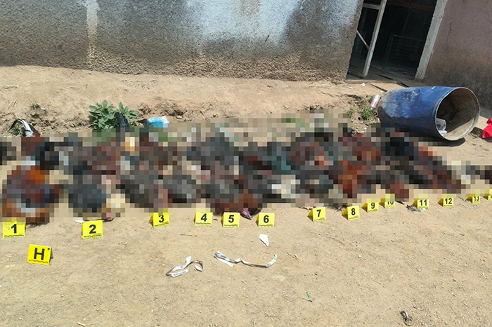 Agentes de la Fiscalía de Michoacán resguardando aves en un inmueble asegurado en Morelia.