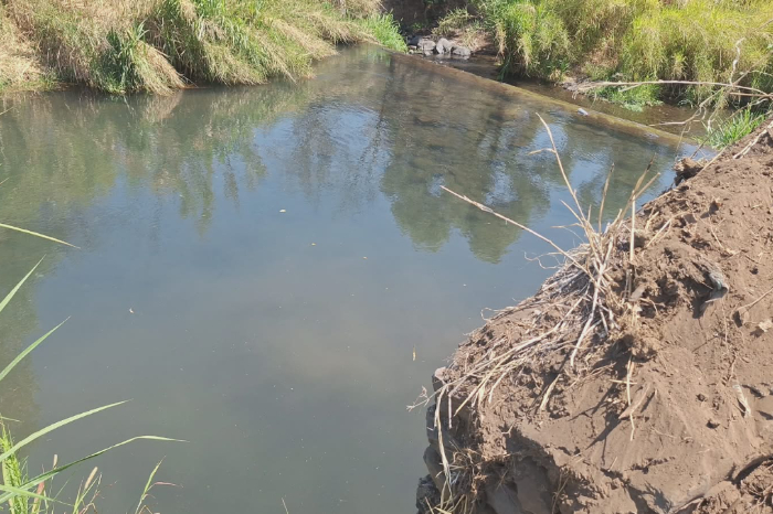 Personal de Protección Civil y Policía Municipal de Los Reyes resguardan la zona de La Presa tras el hallazgo de un hombre sin vida.