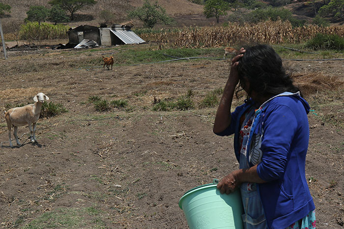 Viviendas abandonadas y dañadas en una comunidad nahua de Guerrero debido a los recientes ataques armados.