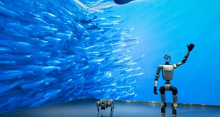Línea de producción masiva de robots humanoides y automatización industrial en China.