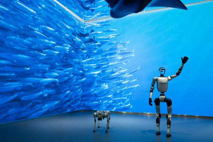 Línea de producción masiva de robots humanoides y automatización industrial en China.