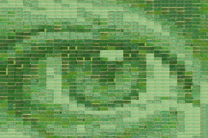 Fotografía aérea de la obra Farming Photographs de Almudena Romero que dibuja un ojo humano en un campo de trigo.