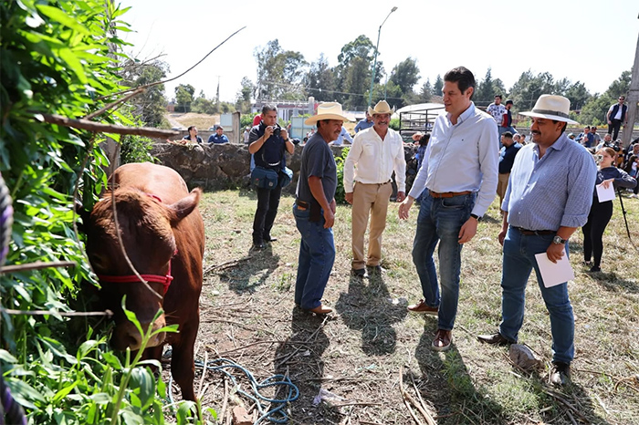 Personal de Saderm Morelia realizando brigadas de información sobre el gusano barrenador en las tenencias del municipio.
