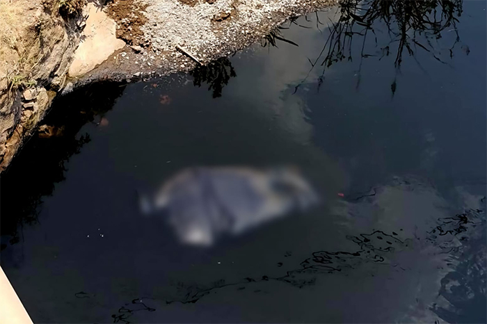 Hallazgo de un cuerpo sin vida en un canal de aguas negras en Uruétaro, municipio de Tarímbaro.