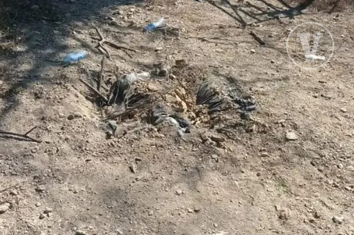 zona perimetral de parcelas agrícolas tras un incidente de seguridad.
