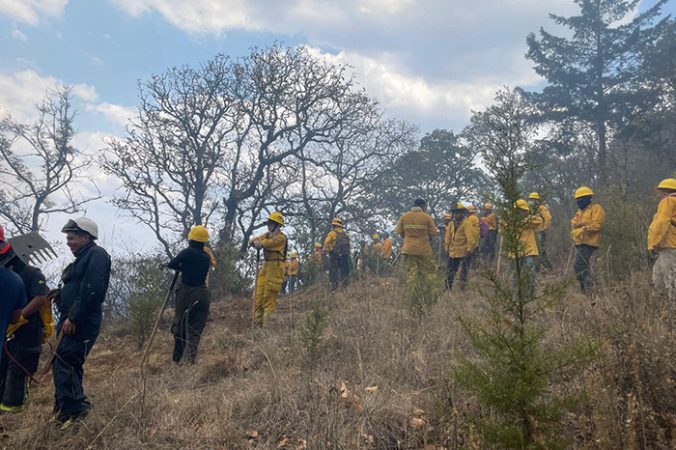 Incendio en Cerro del Estribo: 80% de control y labores de liquidación