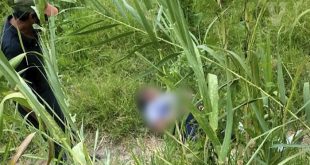 Paramédicos auxilian a mujer atacada por jauría de perros en Uruapan.