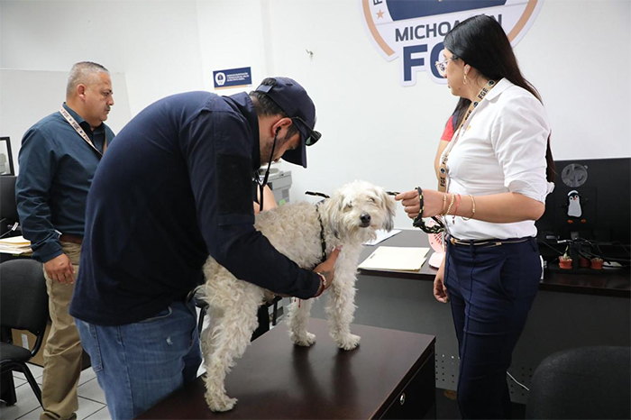 Instalaciones de la Fiscalía del Estado donde se atienden y procesan las denuncias ciudadanas por maltrato animal en Morelia.