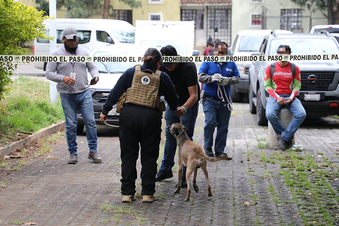 Personal de la Fiscalía Especializada en Delitos Contra el Ambiente y la Fauna resguardando a un perro rescatado durante un cateo en Morelia.