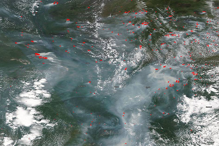 copernicus-alerta-record-en-temperatura-global-de-la-superficie-del-mar