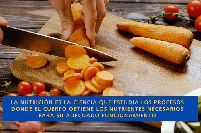 La Nutrición es una aliada estratégica en la salud pública, explica Especialista
