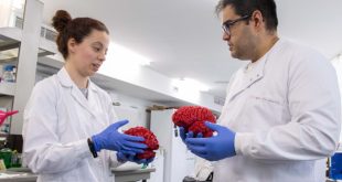 Modelo molecular de la proteina MSK1 interruptor cerebral descubierto por la Universidad de Salamanca
