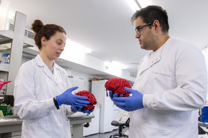 Modelo molecular de la proteina MSK1 interruptor cerebral descubierto por la Universidad de Salamanca