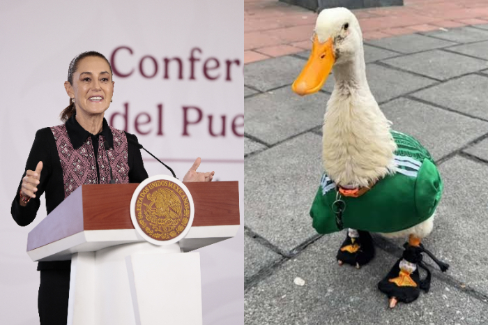 Presidenta Claudia Sheinbaum hablando durante su conferencia de prensa matutina en Palacio Nacional.