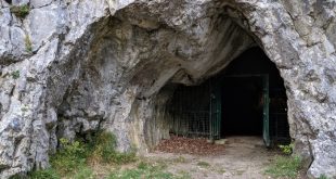 Investigadores en laboratorio de paleogenetica analizando muestras de adn antiguo de la cueva de Goyet