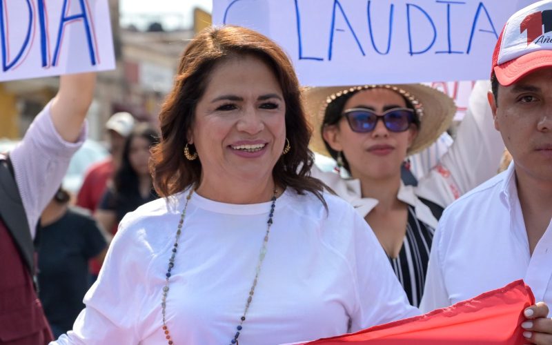 Diputada Fabiola Alanís