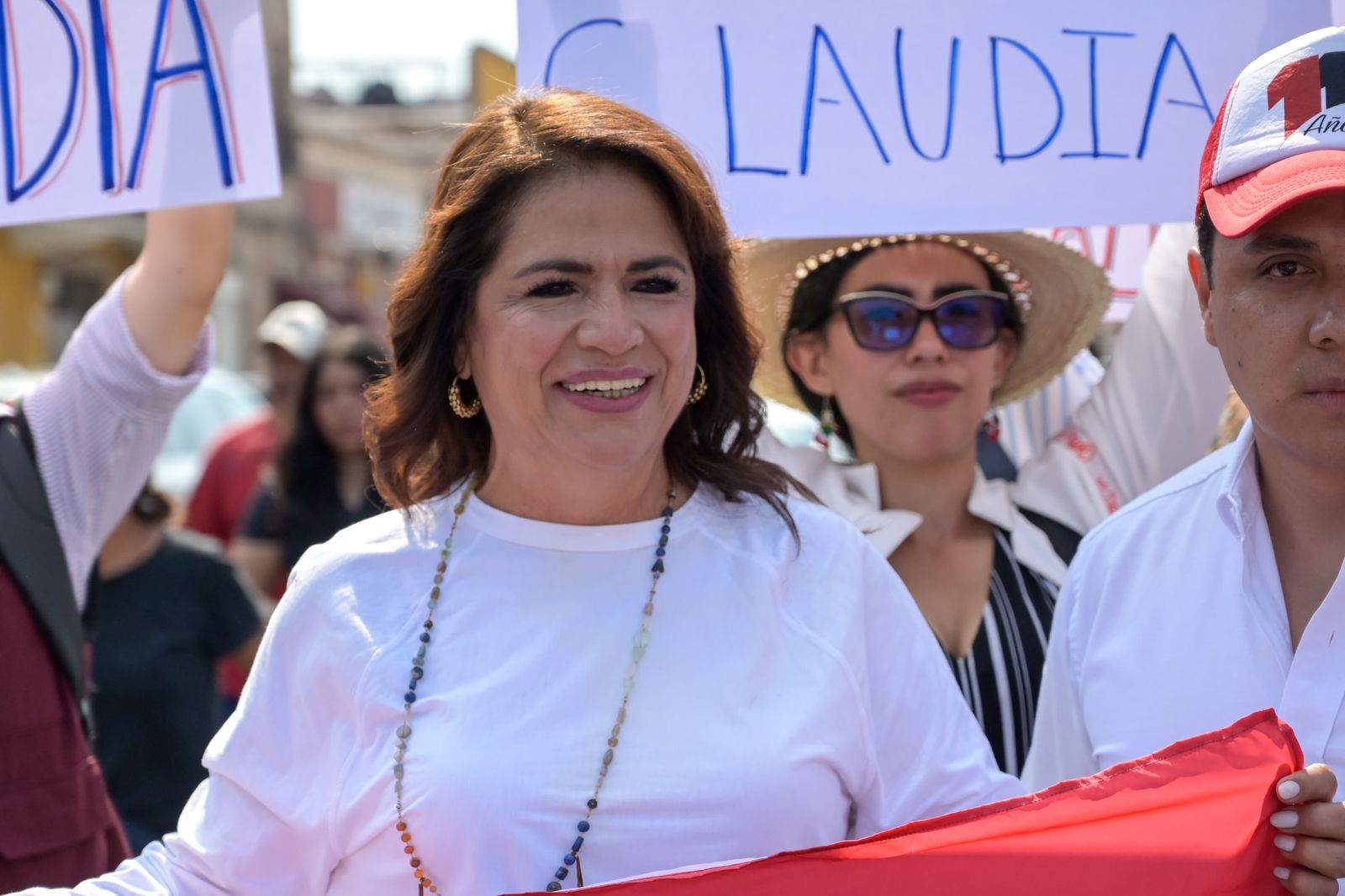 Diputada Fabiola Alanís